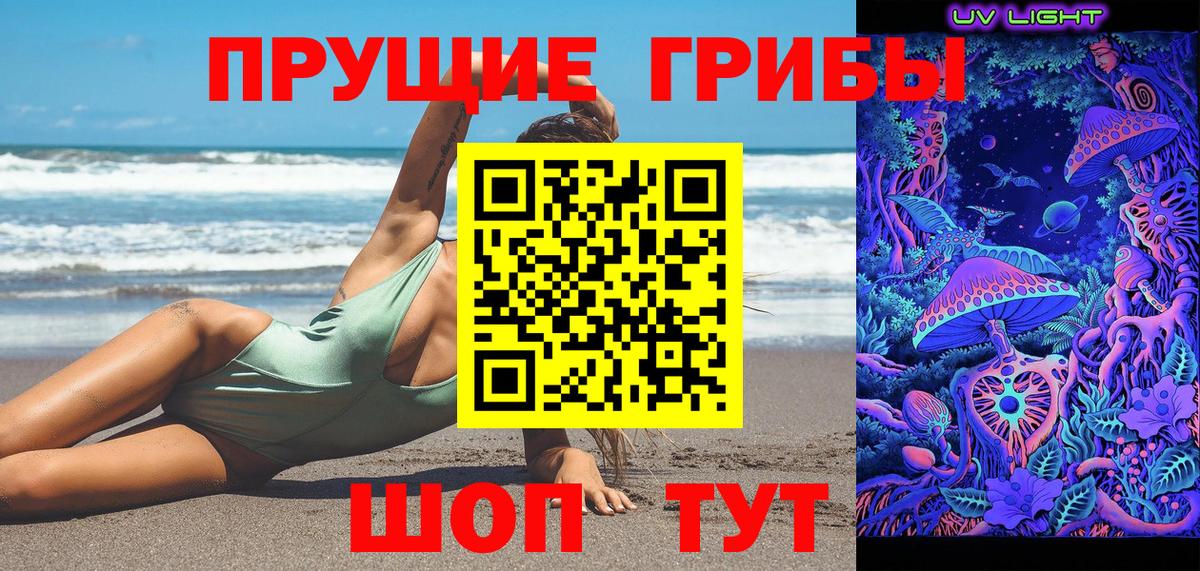 Мирный  Псилоцибиновые грибы GOLDEN TEACHER  Галлюциногенные грибы мухоморы  Вход с VPN 